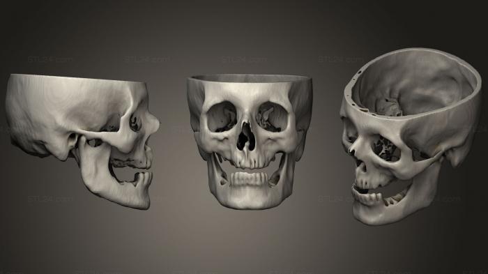 Анатомия скелеты и черепа (Череп Мужской 55лет, ANTM_1293) 3D модель для ЧПУ станка